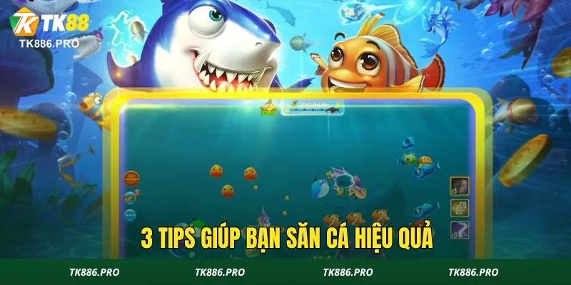  3 tips giúp bạn săn cá hiệu quả 