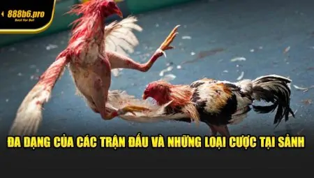 Đá Gà Cựa Dao – Trận Chiến Khốc Liệt Nhất Tại Sảnh 888B